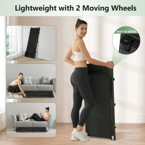 Physical Fitness, fitness store, Gym