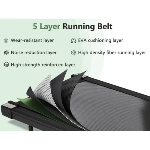 Physical Fitness, fitness store, Gym