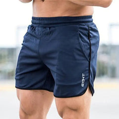 Physical Fitness, fitness store, Gym